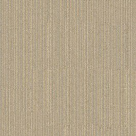 Interface Equilibrium 304203 Simplicity