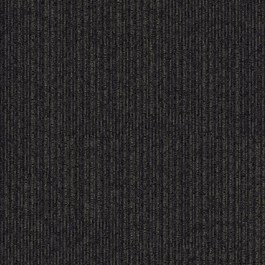 Interface Equilibrium 304207 Continuity